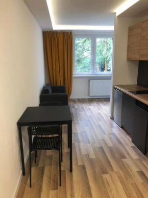 Apartament Prądnik